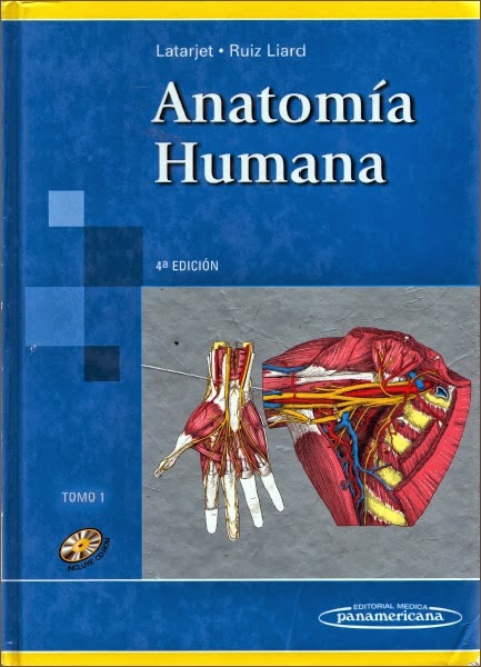 Anatomia Con Orientacion Clinica Moore 7 Edicion Pdf Descargar Gratis